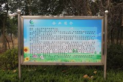 公司实景